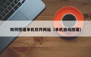 贵州如何搭建单机软件网站（单机游戏搭建）
